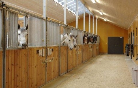 Stall Riksten Runsten Equestrian – Modern & generös ridsportsanläggning söder om ...